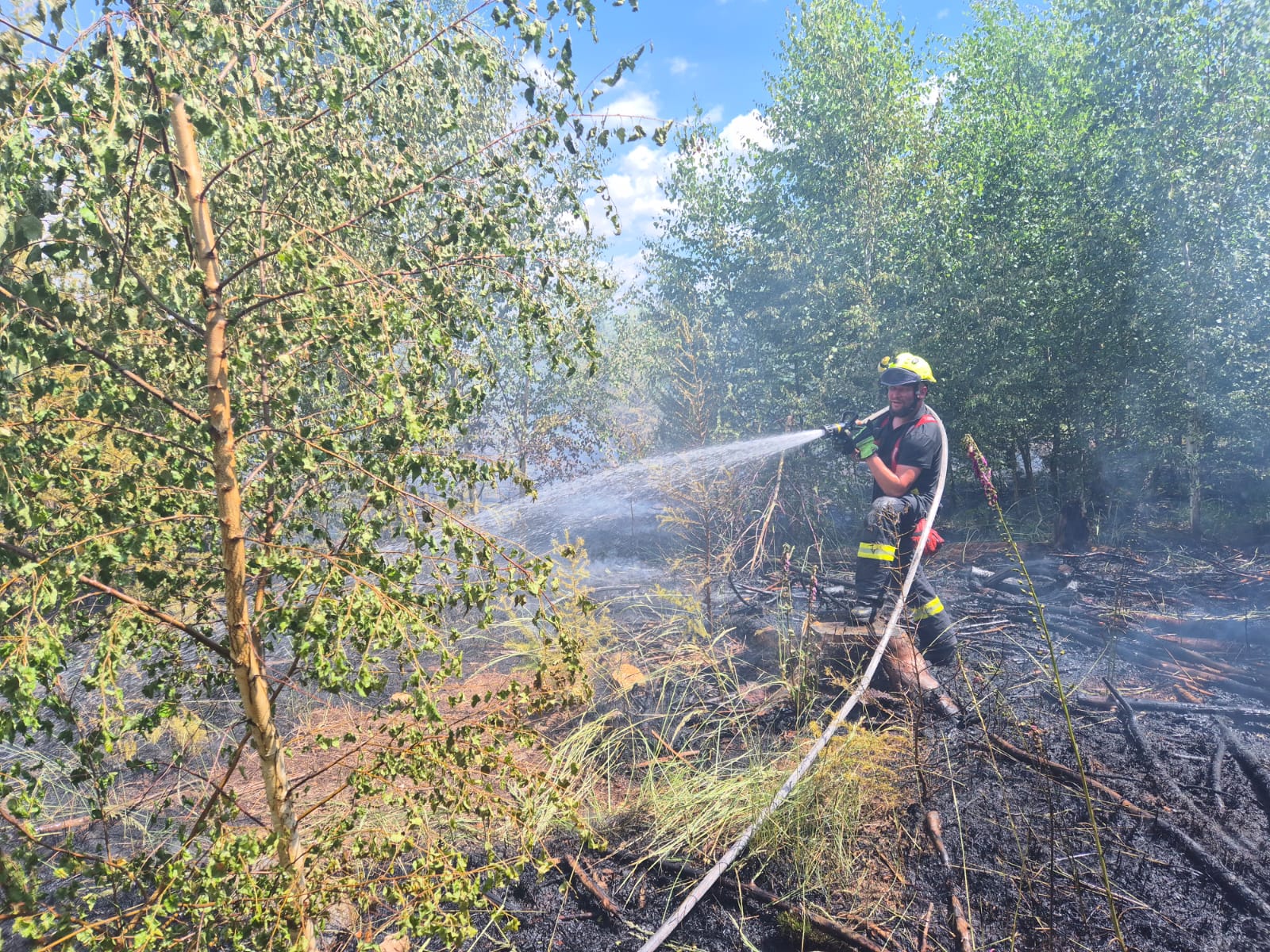 WhatsApp Image 2025-06-29 at 14.34.19(1).jpeg