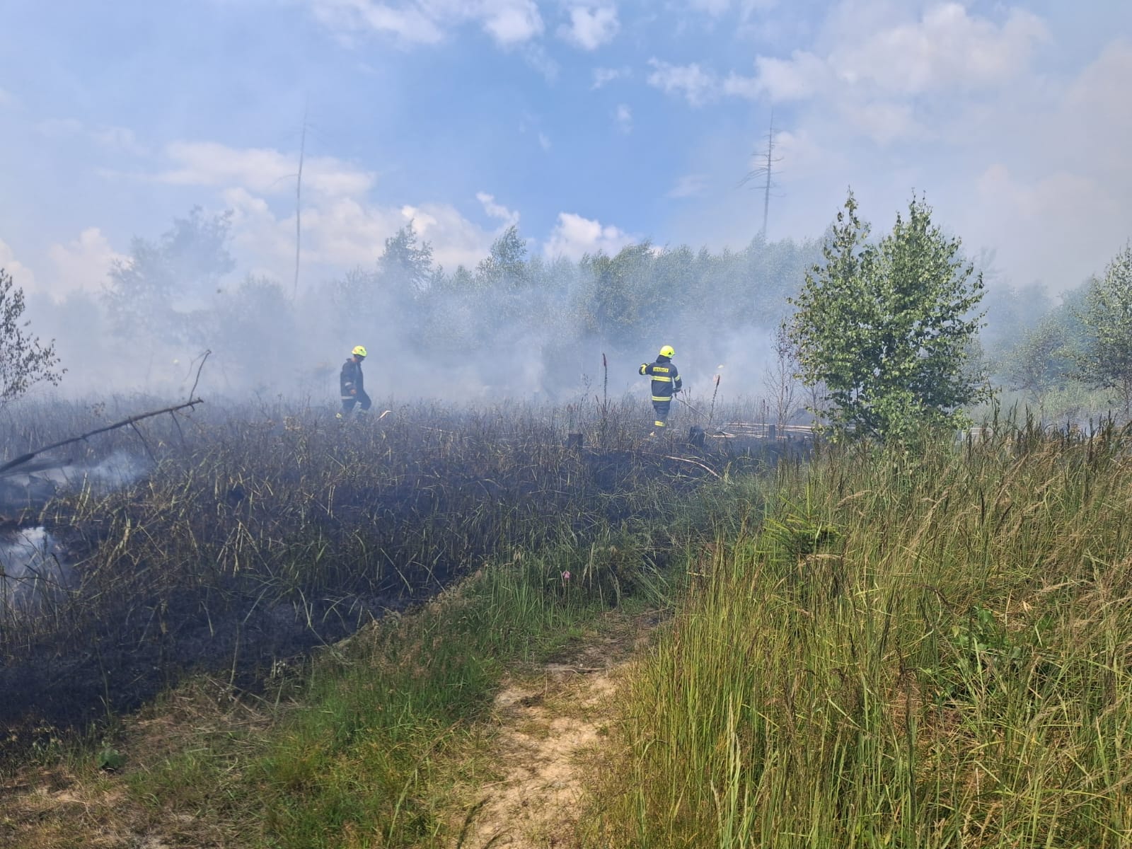 WhatsApp Image 2025-06-29 at 18.16.19.jpeg