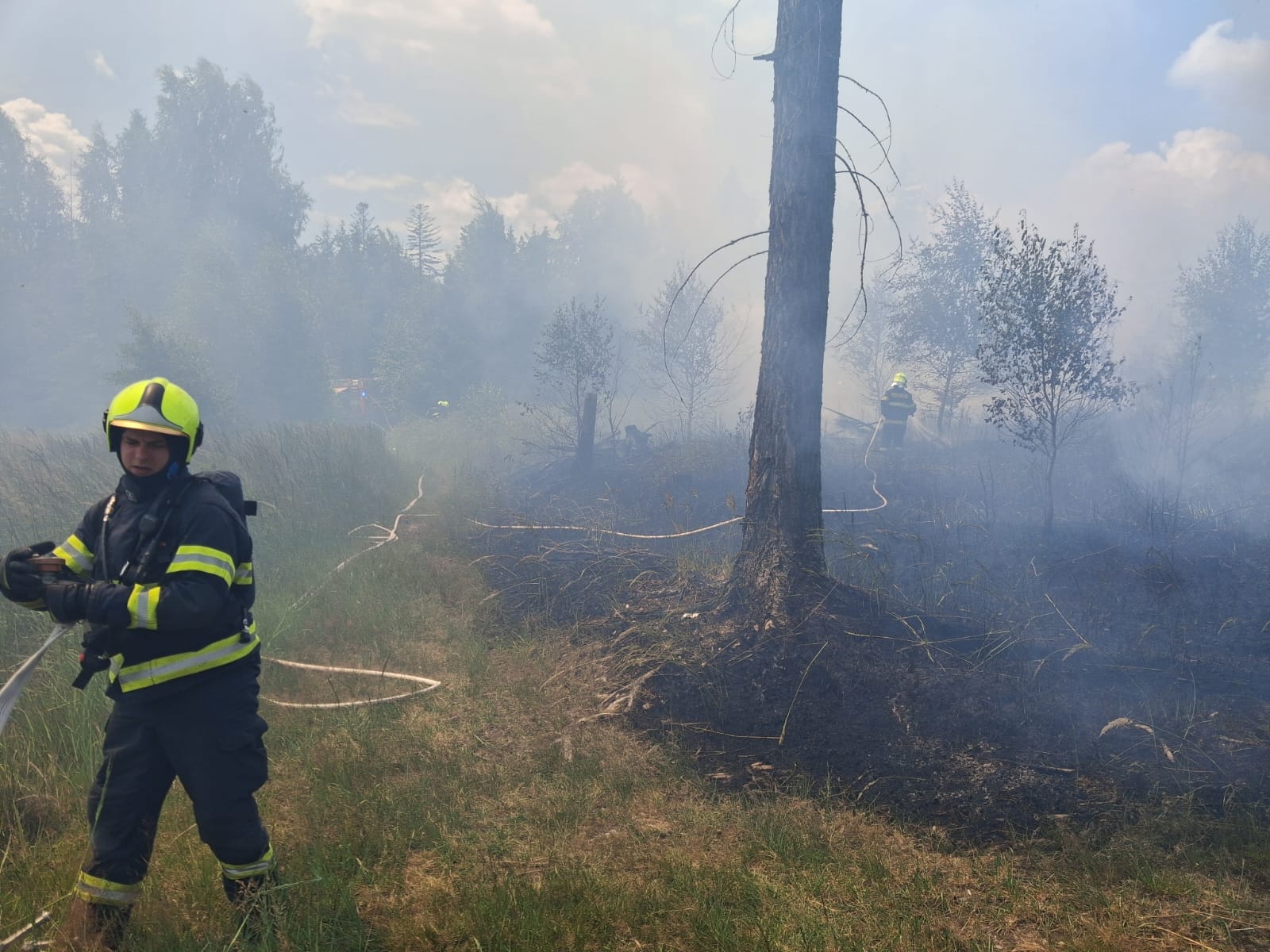 WhatsApp Image 2025-06-29 at 18.16.21.jpeg