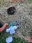 WhatsApp Image 2025-07-02 at 19.44.12
