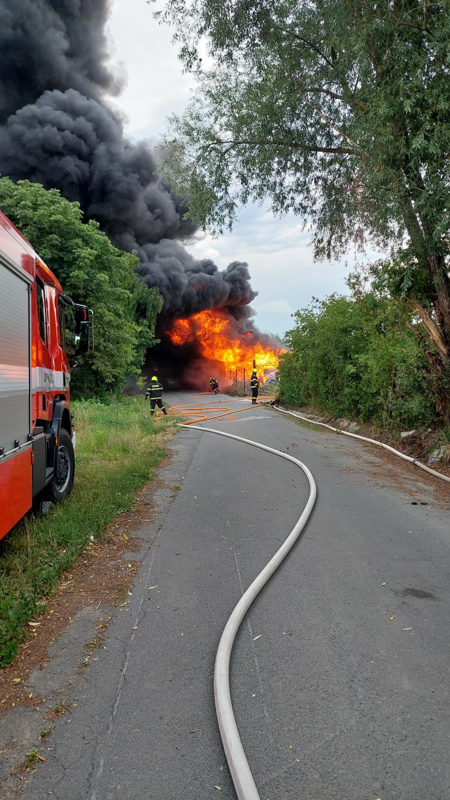 WhatsApp Image 2025-07-03 at 20.00.40.jpeg