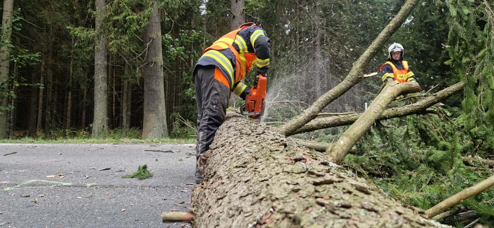 WhatsApp Image 2025-09-24 at 19.36.21(3).jpeg