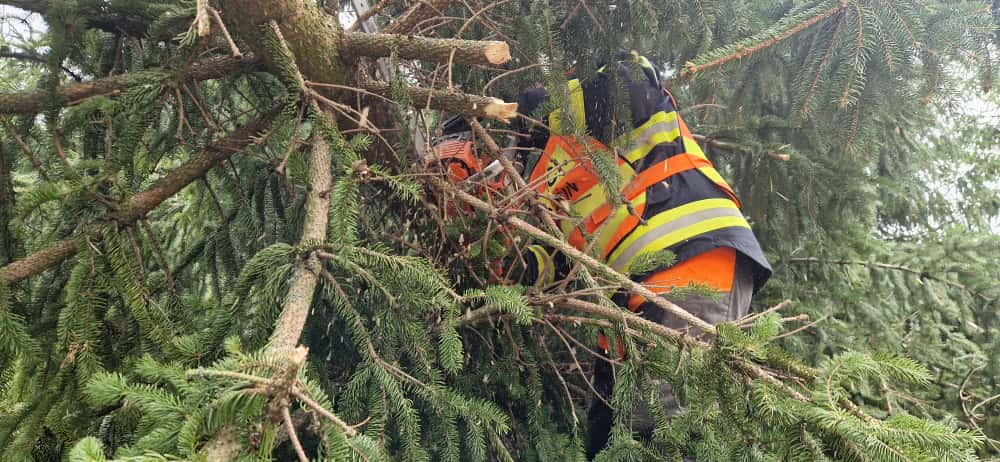 WhatsApp Image 2025-09-24 at 19.36.22.jpeg