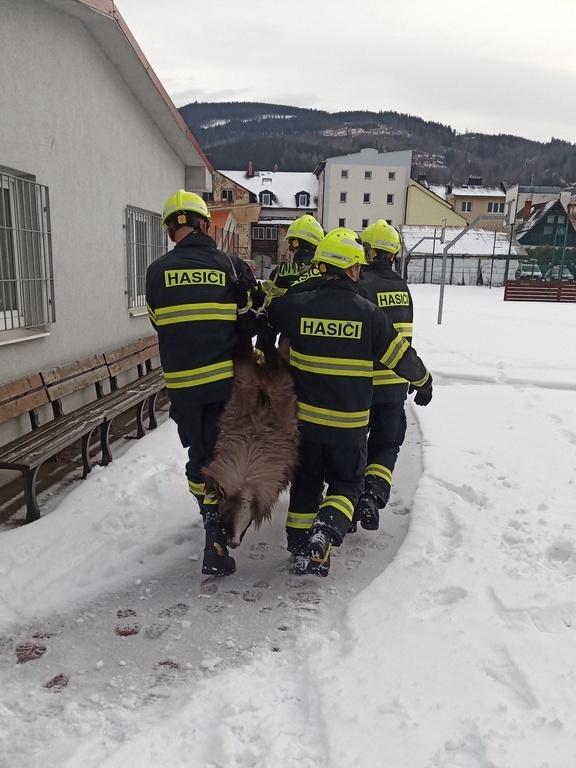 WhatsApp Image 2026-01-15 at 09.26.43(4).jpeg