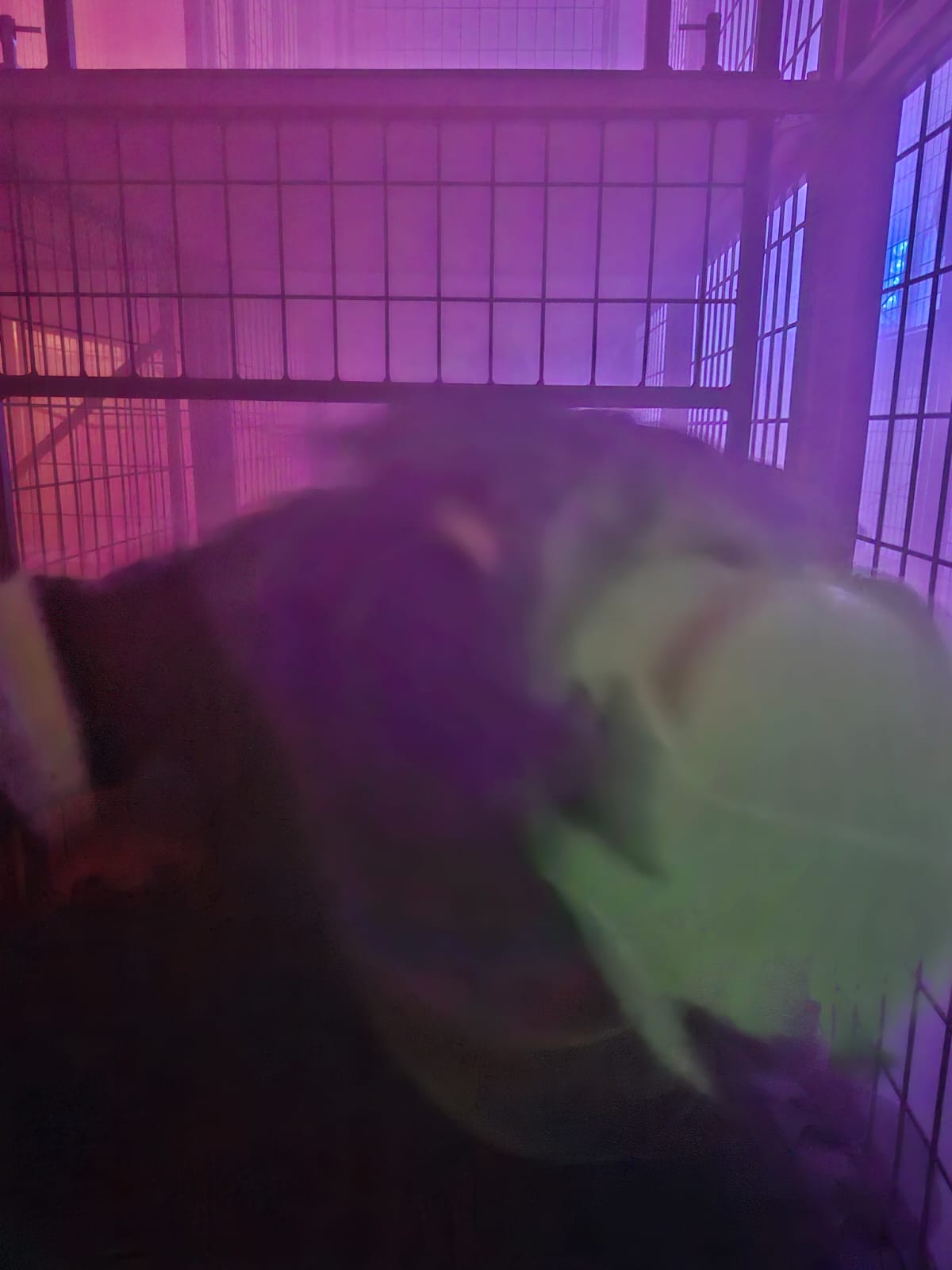 WhatsApp Image 2026-03-07 at 10.21.57.jpeg