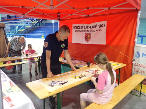 XIX.Veletrh Novojičínska 2018 (2).JPG