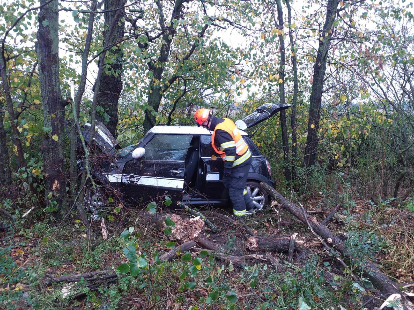 ZN-Jiřice u Miroslavi.jpeg