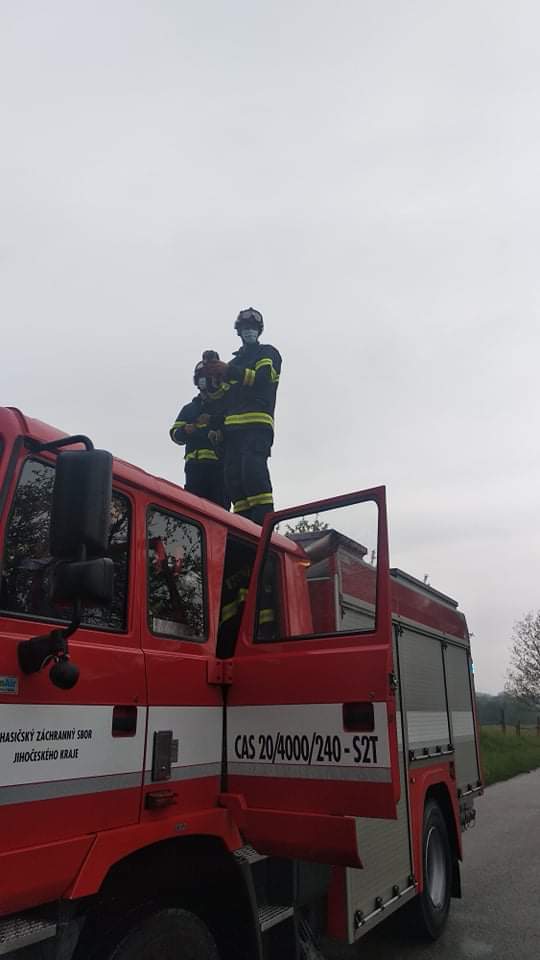 Záchrana kachny, Malíkov nad Nežárkou - 14. 5. 2020 (5).jpg