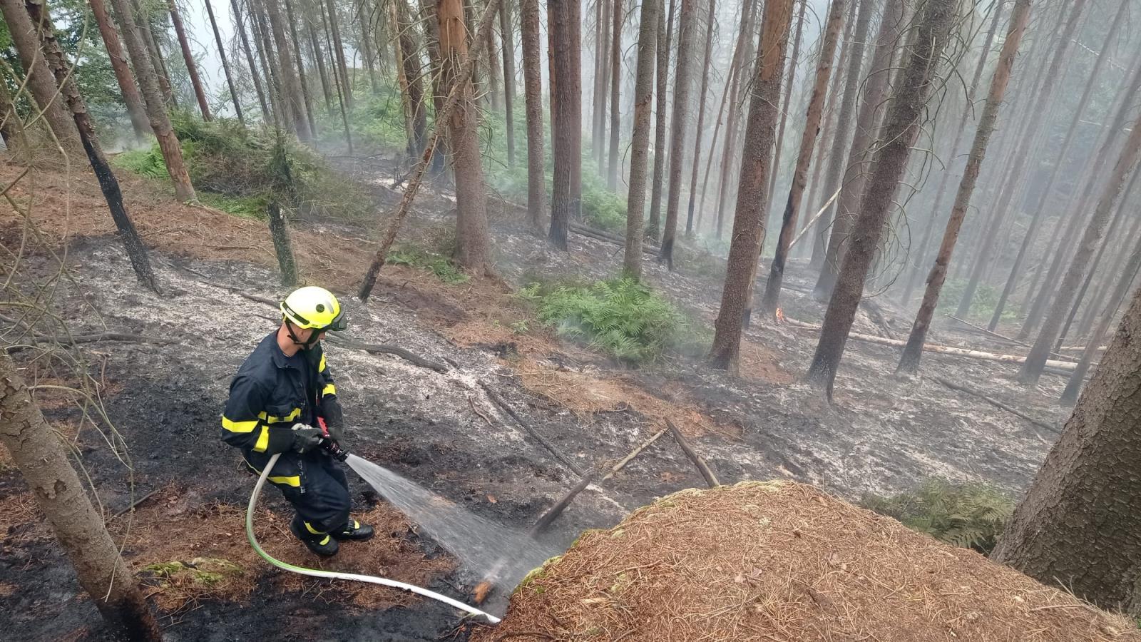 Zásah v národním parku2.jpg