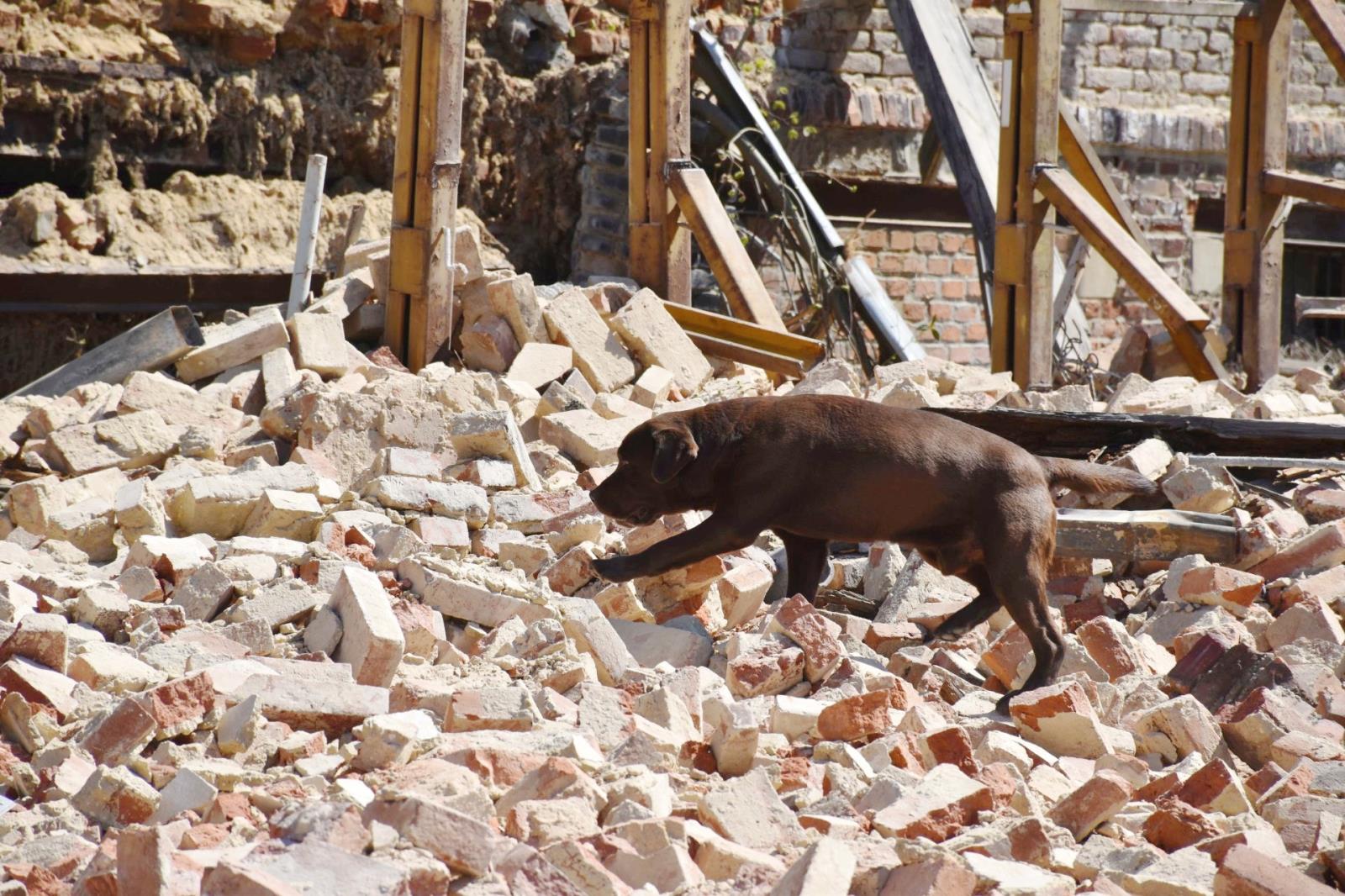 Zřícená část továrny Děčín (1).jpg