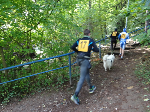 behTotman2016_II (7).JPG