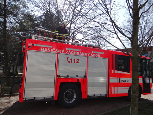 boroviceskolkaOstrava (28).JPG