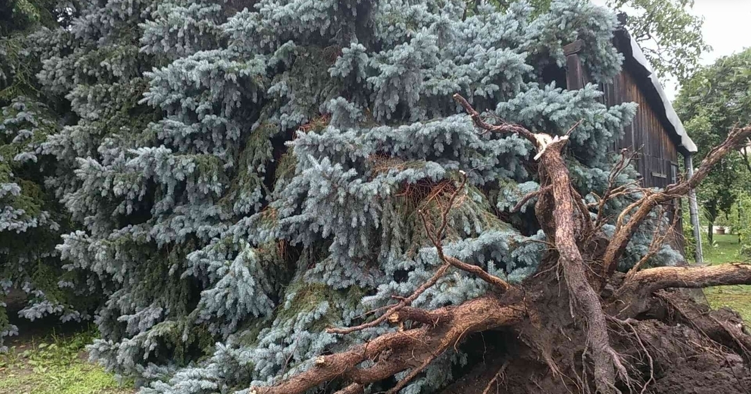 bouřky27-7-2021 (3).jpg