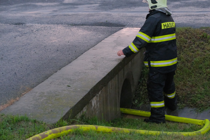 cerpanilagunyKlimkovice (11).JPG