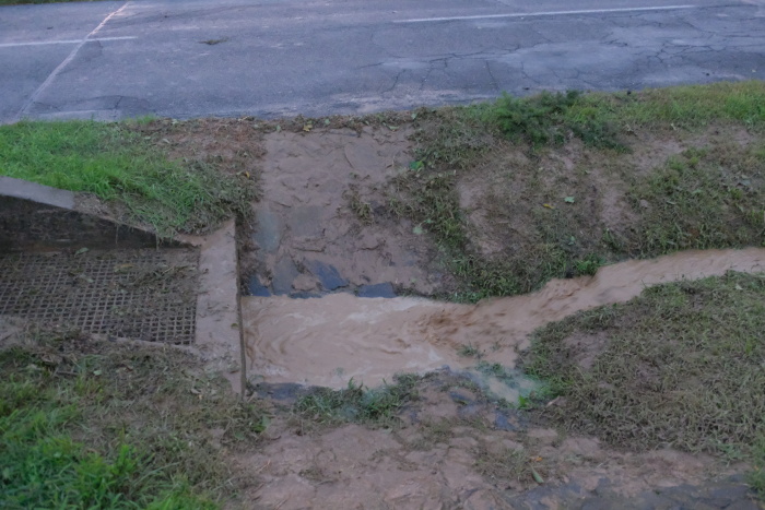 cerpanilagunyKlimkovice (14).JPG