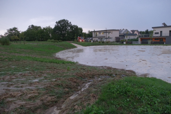 cerpanilagunyKlimkovice (4).JPG