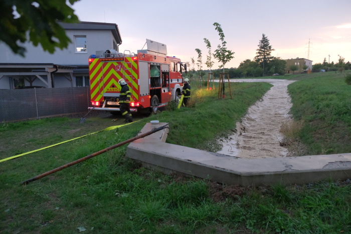 cerpanilagunyKlimkovice (6).JPG