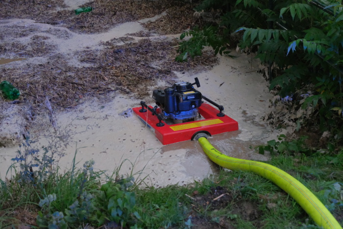 cerpanilagunyKlimkovice (8).JPG