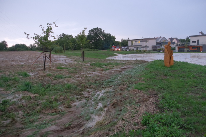 cerpanilagunyKlimkovice (3).JPG