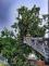 cerven_foto_mesice (12)