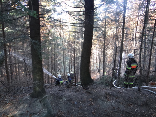 cviceniIZSmezinarodniHrcava (16).JPG