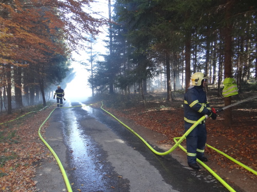 cviceniIZSmezinarodniHrcava (19).JPG