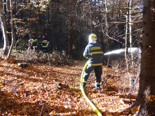 cviceniIZSmezinarodniHrcava (23).JPG