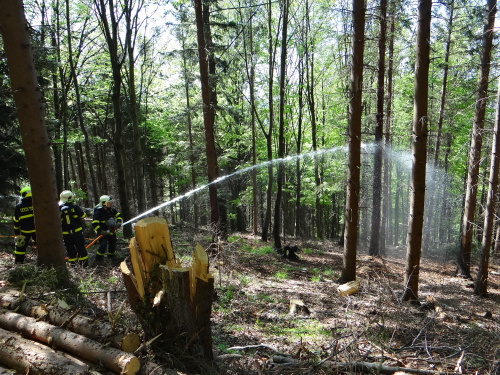 cviceniIZSpozarlesaPrasiva (FM) (20).JPG