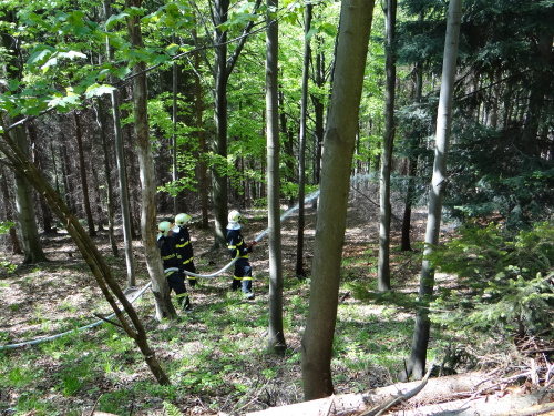 cviceniIZSpozarlesaPrasiva (FM) (22).JPG