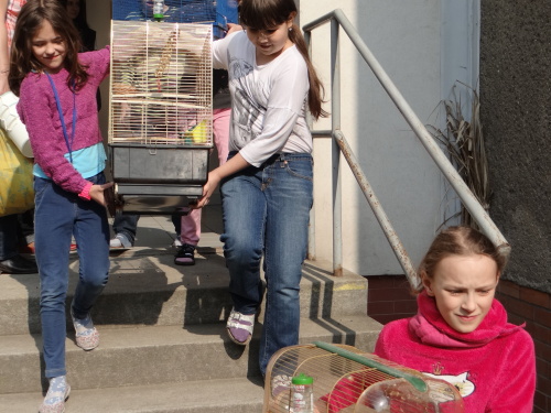 cvicenievakuaceskolaSvinov (OV) (6).JPG