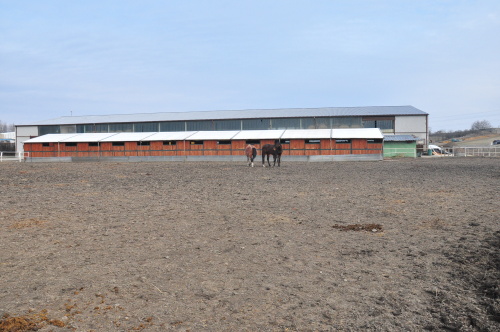 cvicenipozarkoneOpava (19).JPG