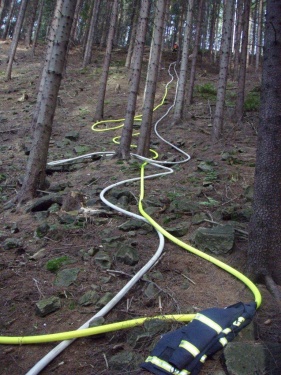 cvicenipozarlesPrasivahora (FM) (4).jpg