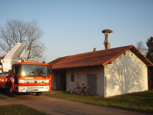 cviceniptakhnizdoOstrava (10).jpg