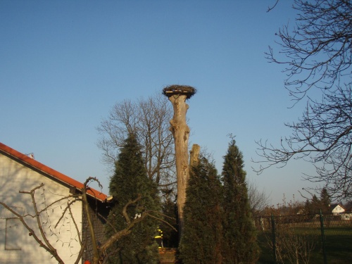 cviceniptakhnizdoOstrava (9).jpg