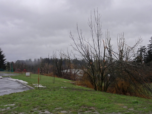 elektrocentrala3xSlovinsko (7).jpg