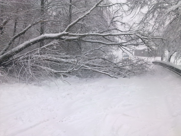 hasici a huste snezeni v MSK 03.jpg