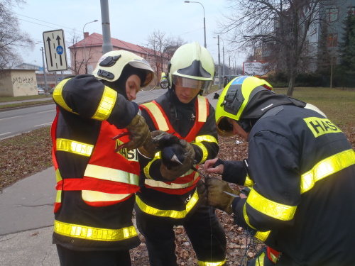 havransilonOstrava (9).JPG