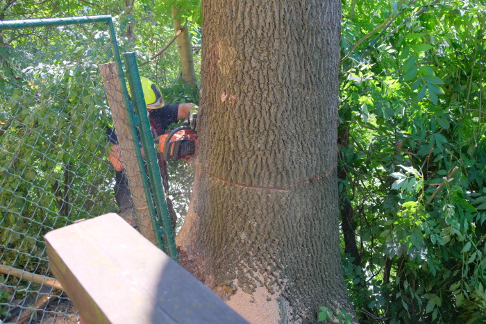 jasanOVProskovice (10).JPG