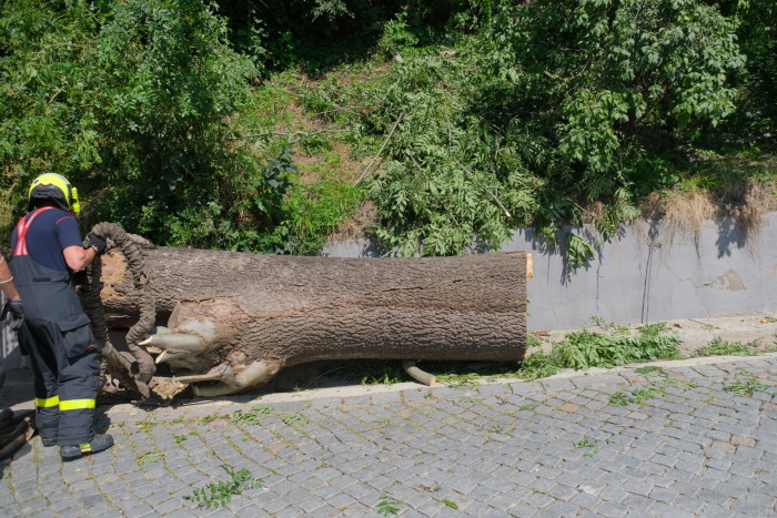 jasanOVProskovice (14).JPG