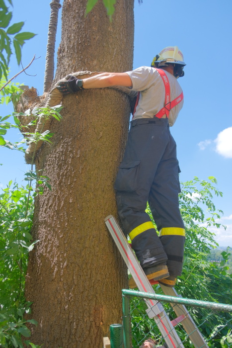 jasanOVProskovice (7).JPG