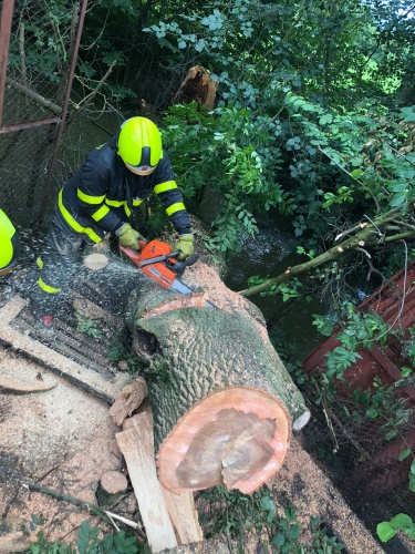 jasanStudenka (4).jpg