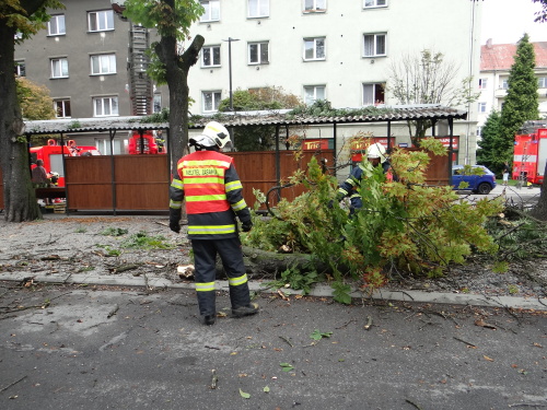 kacenikastantrzniceBohumin (22).JPG