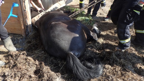 kunstajBudisovnadBudisovkou (2).jpg