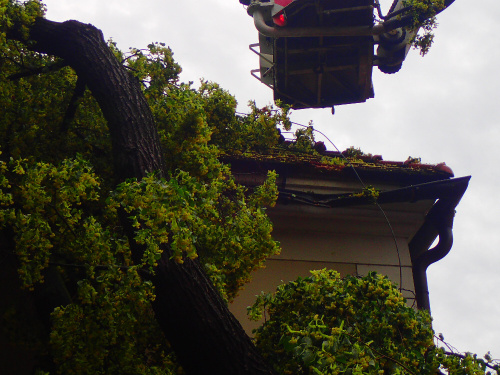 lipacirkevOpava (8).JPG