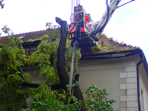 lipacirkevOpava (9).JPG