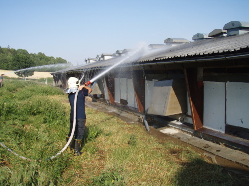 ochalozanidrubezarnaMestoAlbrechtice (BR) (3).JPG