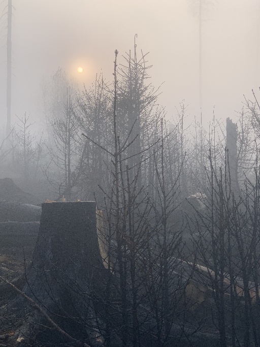 odřad hasičů z Plzeňského kraje ve Hřensku (8).JPG