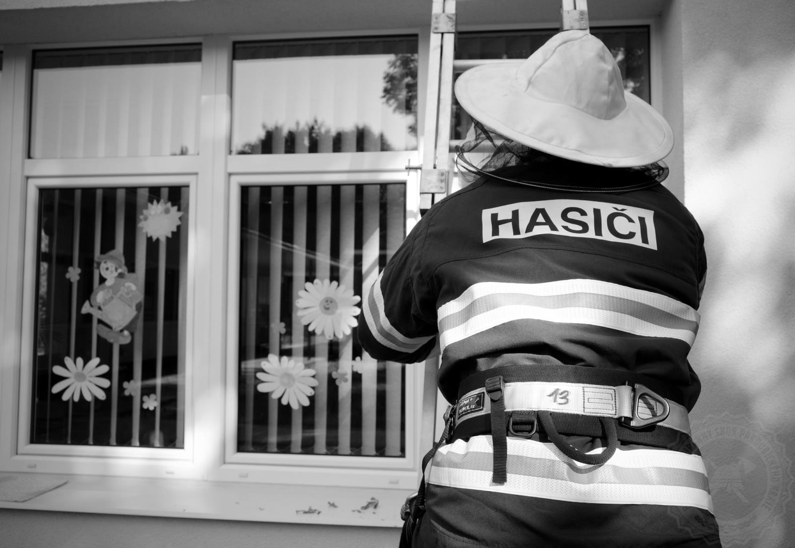 odstranění hmyzu9-2021 (1).jpg