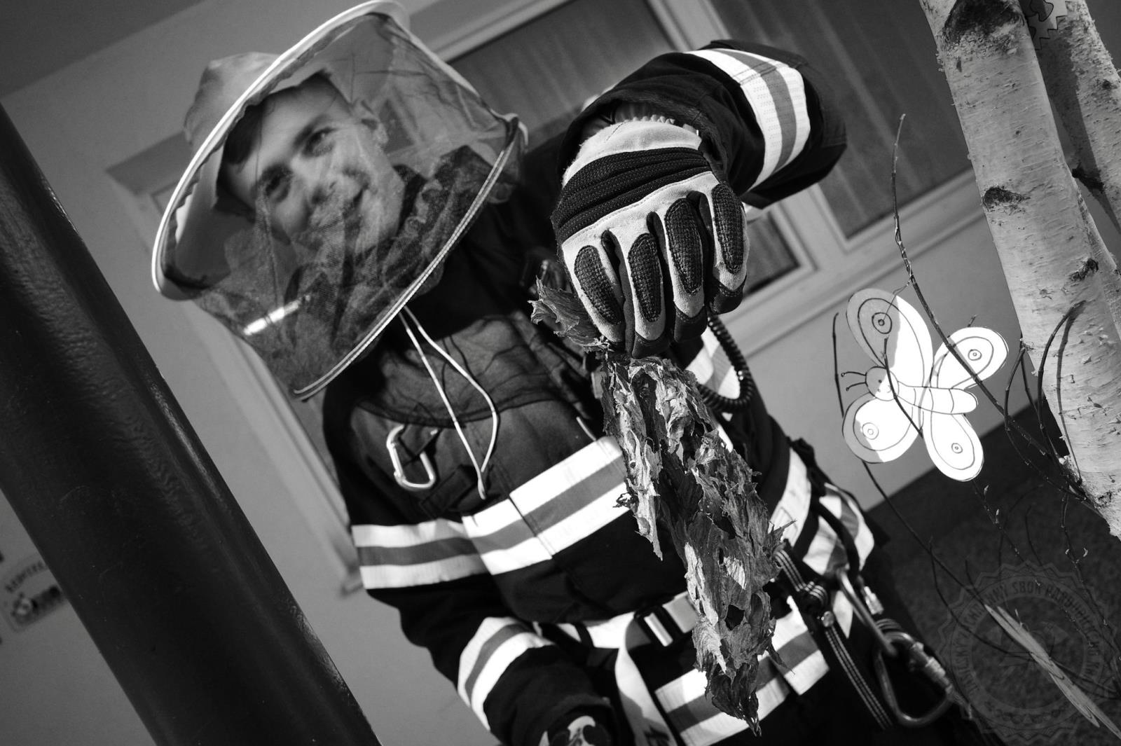 odstranění hmyzu9-2021 (3).jpg