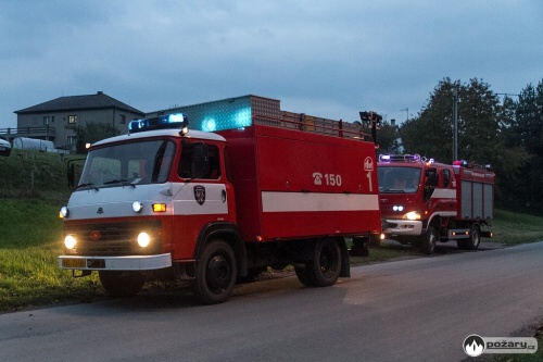 olejunikSezinaBravantice (NJ) I večer  (1).jpg